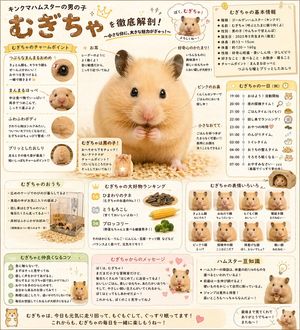 Cute Japanese Hamster Infographic – GPT Image 2 prompt by AIハムスターむぎちゃ♂🐹