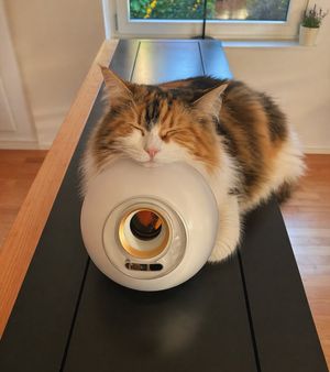 Sleeping Calico on White Appliance – GPT Image 2 prompt by Raphi-2Code