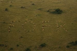 Hidden Word Optical Illusion Prompt – GPT Image 2 prompt by fofr