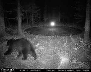 Paranormal Trail Camera Encounter – GPT Image 2 prompt by Scott Muller